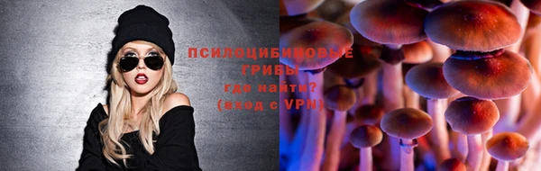соль ск Новокубанск
