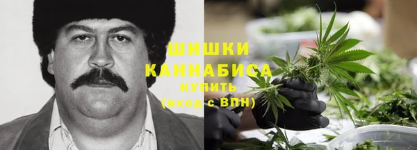 mdpv Новодвинск