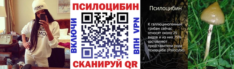 Псилоцибиновые грибы Psilocybe  Оленегорск 